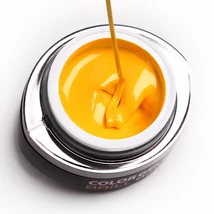 Go65 color gel dejavu