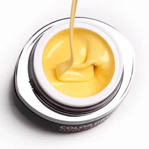 Go9 color gel dejavu